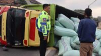 Diduga Over Muatan, Truk Pengangkut Gabah Pecah Ban dan Terguling di Jalinbar Pringsewu