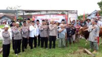 Rayakan Idul Adha 1444 H, Polres Pesisir Barat Potong 5 Ekor Sapi dan 4 Kambing