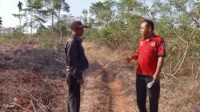Ibrahim Korban Penjarahan Singkong Berharaf Kepolisian Wilayah Hukum Polres Lampung Utara Segera Menangkap Para Pelaku