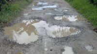 Ketua LSM TRINUSA Soroti Jalan dipekon Bedudu Yang Tak Kunjung di Perbaiki