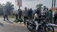 Kecelakaan Maut!! Dua Pelajar SMP Tabrak Belakang Truk,  Satu Tewas