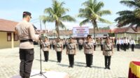 Upacara Kenaikan Pangkat Perwira dan Bintara Polri Dipimpin Kapolres Pesisir Barat