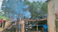 Kandang Ayam Ludes Terbakar, Korban Rugi Ratusan Juta