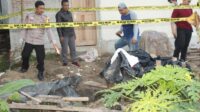 Bocah 2,5 Tahun Asal Pringsewu Ditemukan Tewas Tenggelam di Lubang Septic Tank