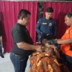 Warga Pringsewu Tewas Tersambar Petir Saat Sedang Mencari Rumput
