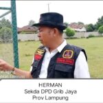 Sekda DPD Grib Jaya Lampung Herman Meminta Aparat Penegak HukumUsut Tuntas Dalang Penyerobotan Lahan CV. Bumi Waras