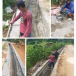 Di Duga Pekerjaan Drainase Desa Taman Jaya Di Kerjakan Asal Jadi