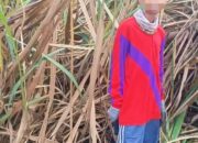 PT GMP Diduga Pekerjakan Anak Dibawah Umur, LHI: Kami Akan Laporkan dan Kawal Perkara ini
