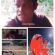 Ali Sodikin KPH Diduga Tutup Mata Akan Pemasangan Instalasi Listrik PT.Tiga Son Jaya di Hutan Kawasan Regester 34