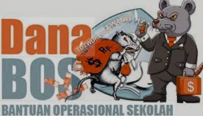 Anggaran Dana  Bos SDN1 Kotabaru di Duga Menjadi Ajang Korupsi