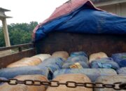 Warga Desa Surakarta Mengamankan di Duga Mafia Migas BBM Oplosan
