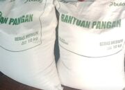 Penyaluran Program Bantuan Pangan Cadangan Beras Pemerintah (CBP) untuk Penerima Manfaat. Di Desa Sinar ogan Kec. Abung selatan 3 sak di Sunat 1 sak